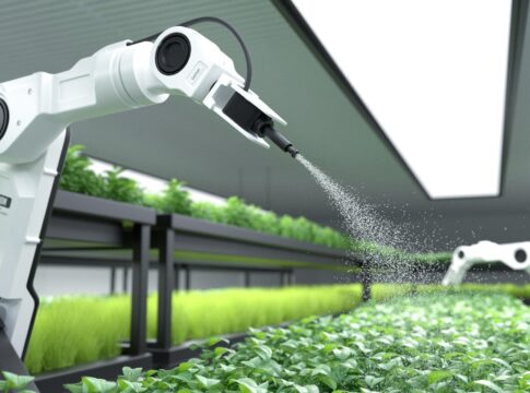 Artificial Intelligence in Agriculture: Exploring Innovations, Opportunities, and Challenges in Feeding a Growing Global Population Sustainably