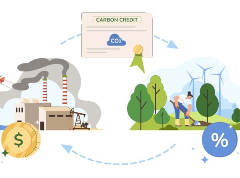 Blockchain for a Greener Future: Revolutionizing Energy Transparency and Carbon Credit Systems Through Distributed Ledger Technology
